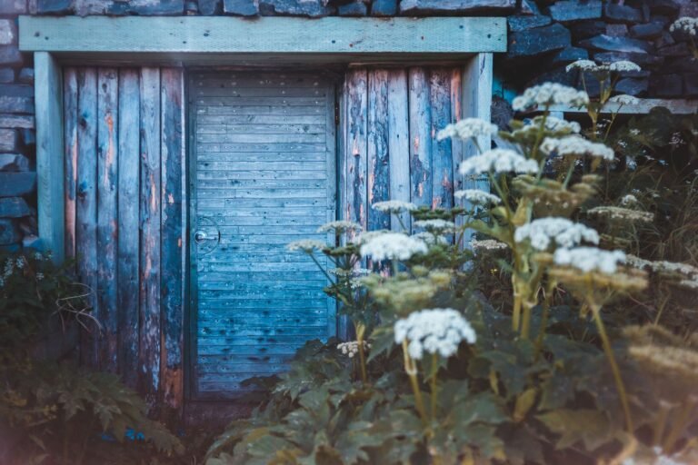 Comment bien choisir un gîte rural : la check-list avant de réserver