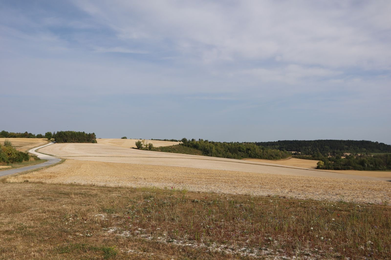 Champs vallonnés et routes rurales dans la campagne du Grand Est