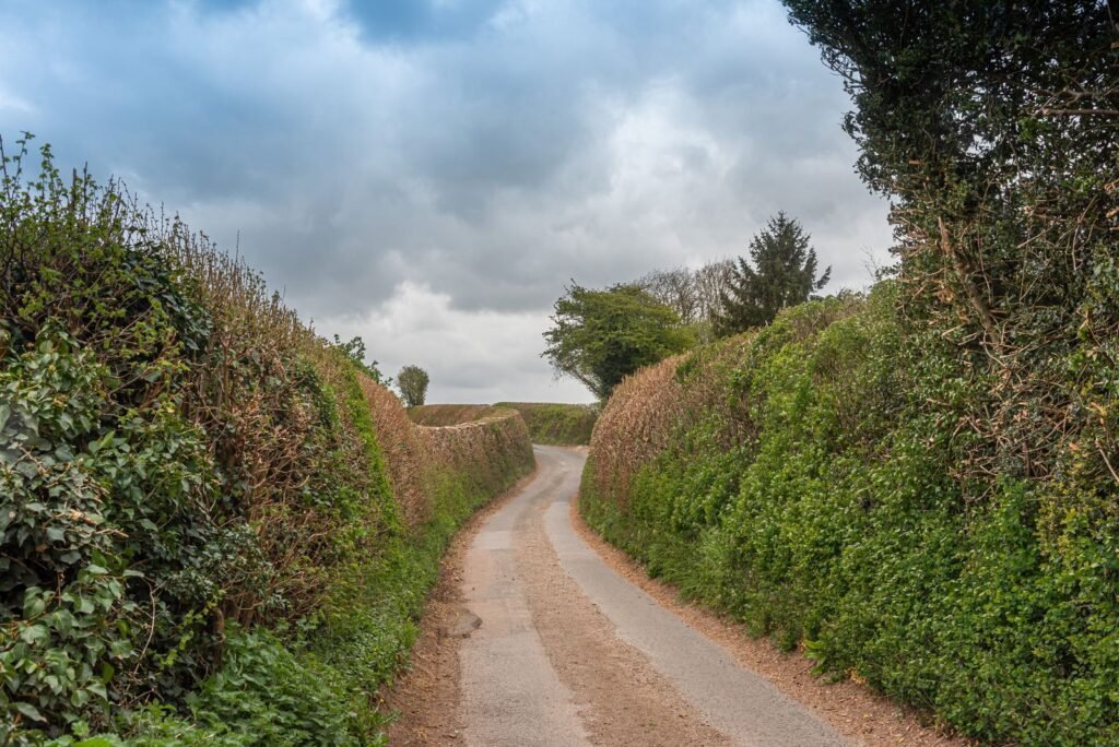 Chemin de campagne bordé de haies champêtres denses