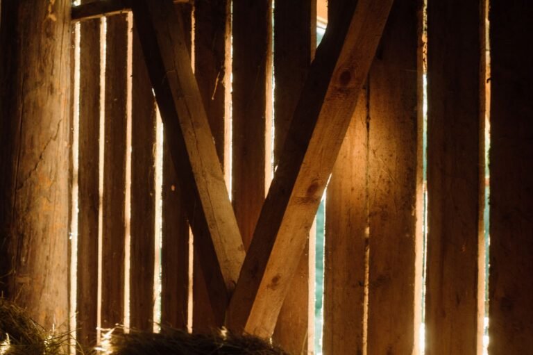 Lumière traversant la charpente en bois d'une ancienne grange