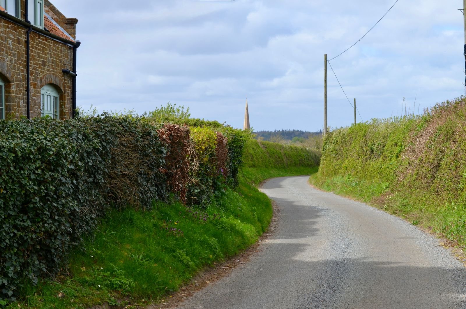Haie bocagère le long d'une route devant une maison en pierre
