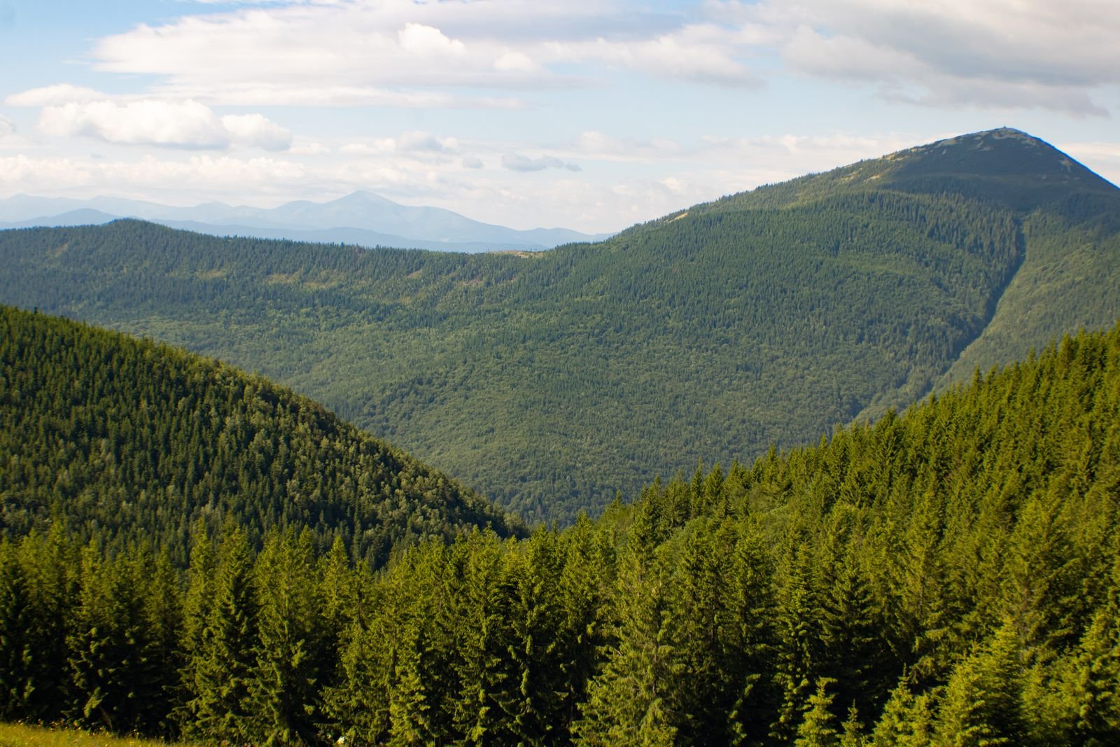 Panorama de collines couvertes de forêts sous un ciel changeant