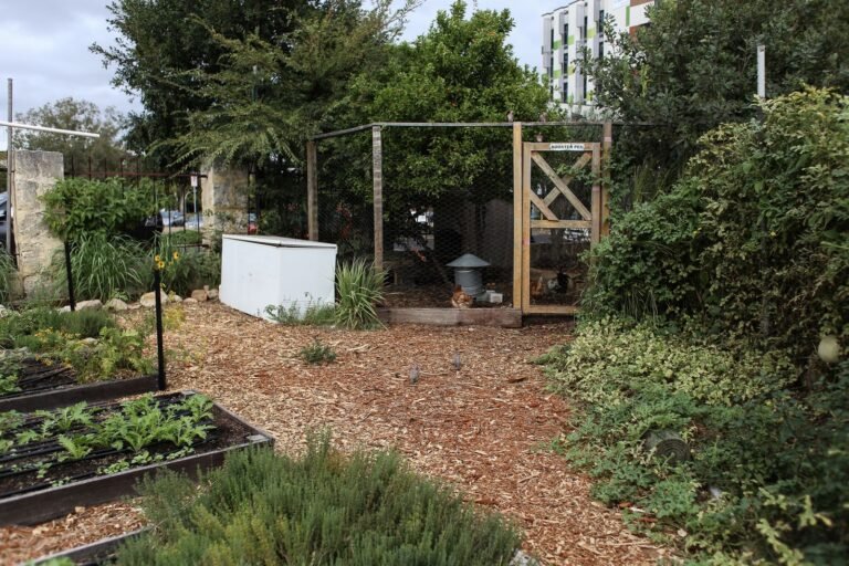 Poulailler installé dans un jardin potager verdoyant
