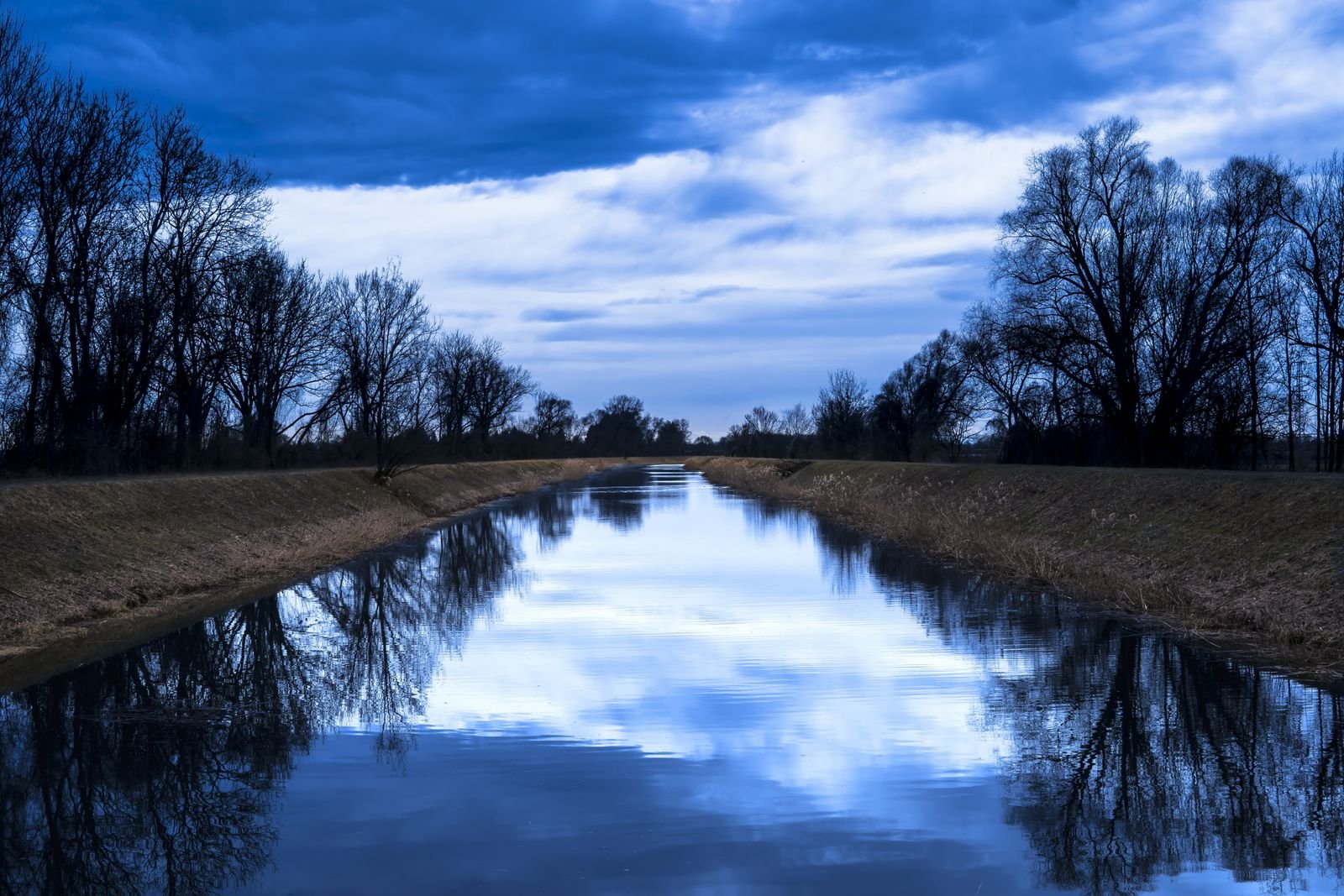 Rivière calme bordée d'arbres avec leurs reflets dans l'eau