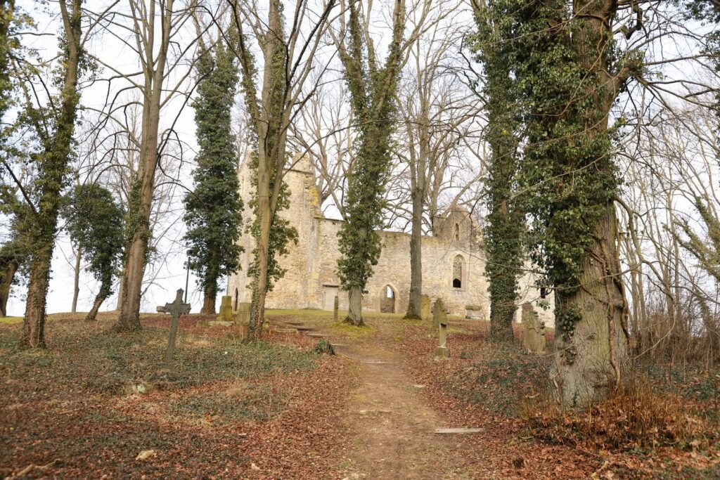 Ruines d'une église en pierre entourées d'arbres