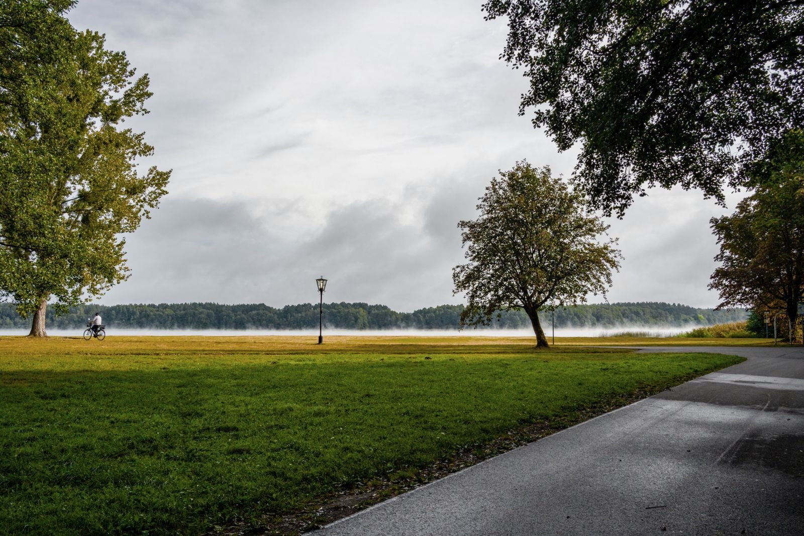 Cycliste sur un chemin au bord d'un lac bordé d'arbres